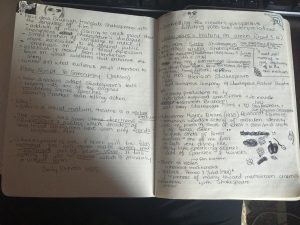 I swear I can make sense of all of this. 99.99% of the time at least...