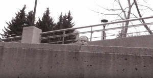 spying